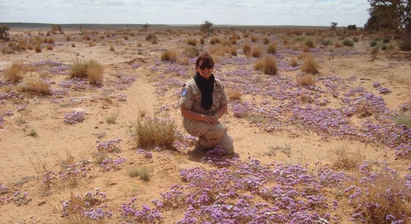 Zapadna Sahara, zadnja afrička kolonija