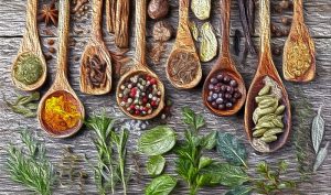 U potrazi za ayurvedom, znanjem i iskustvom drevne medicine Istoka